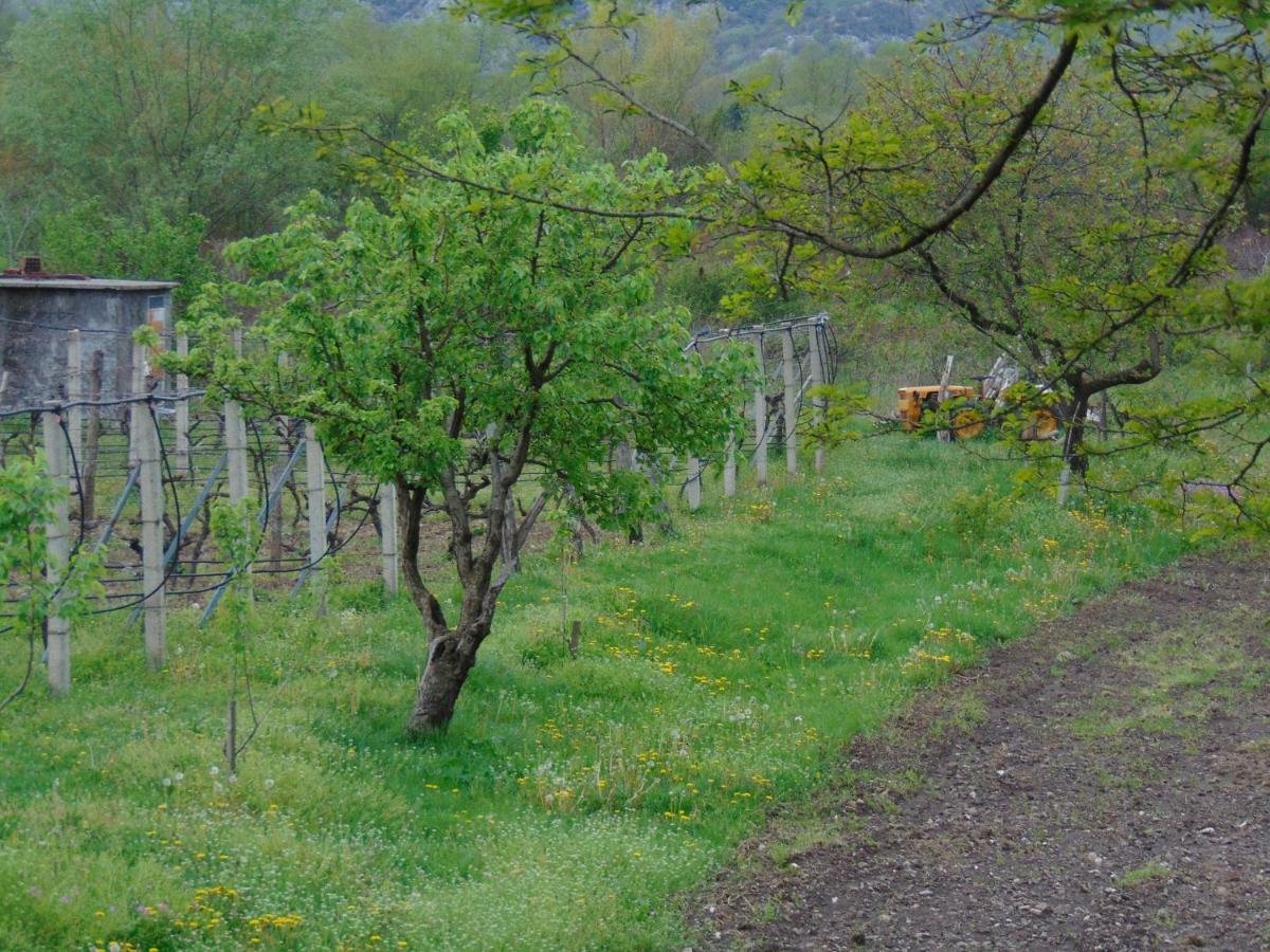וירפזאר Studio And Winery Kalimut מראה חיצוני תמונה